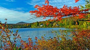 Autumn at Quimby's In Vermont