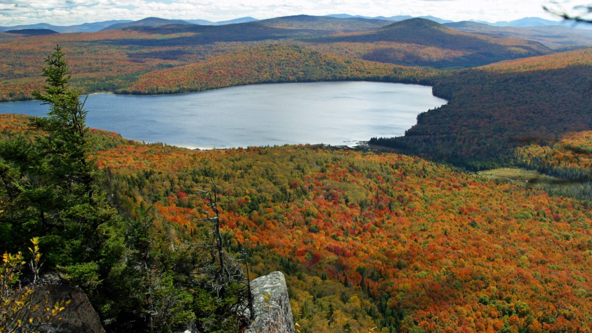 Fall Foliage in Vermont's Northeast Kingdom Quimby Country