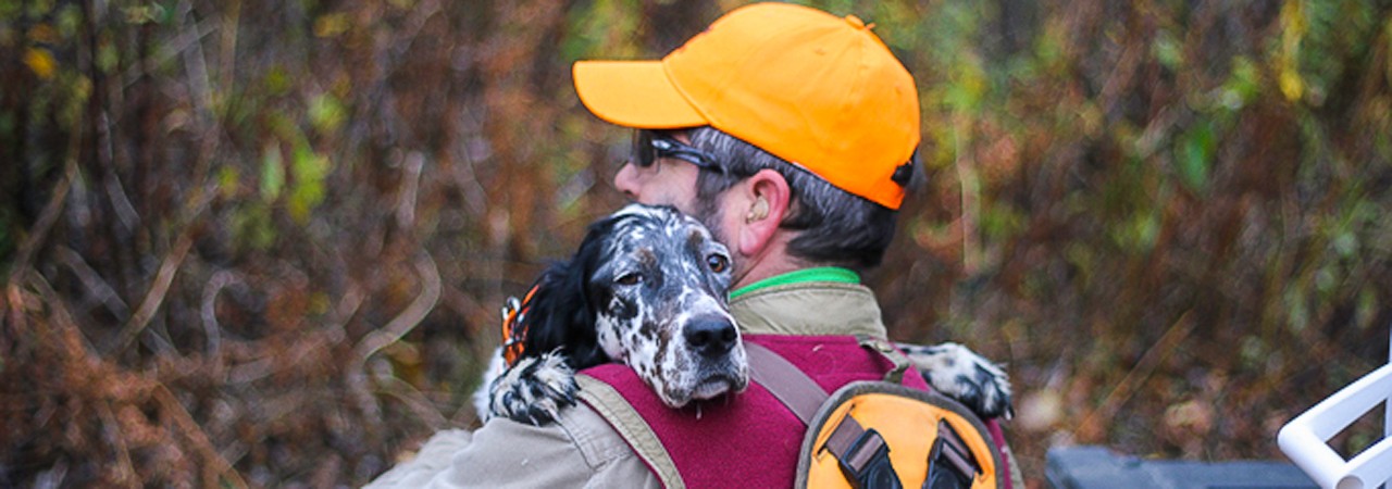 Upland-Hunting-Dog