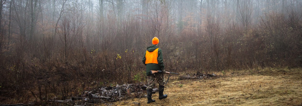 Upland-Hunting-in-Vermont