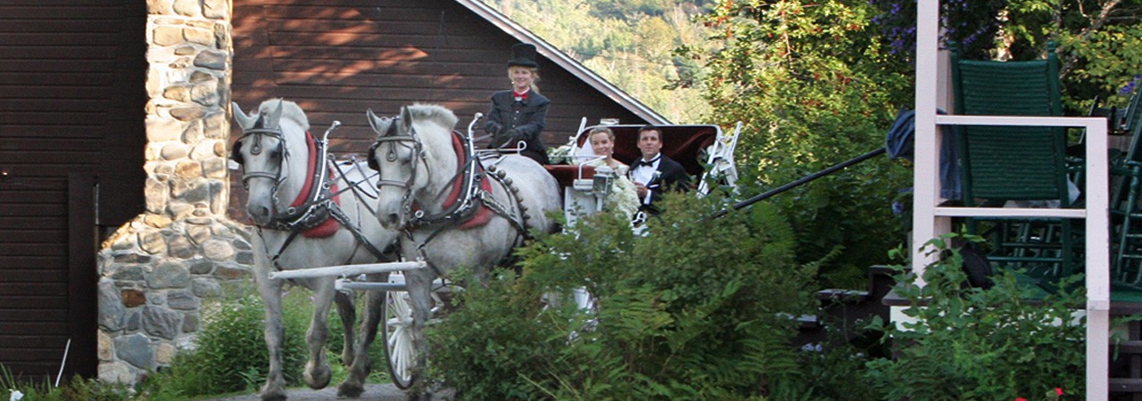 Wedding-horses Vermont weddings